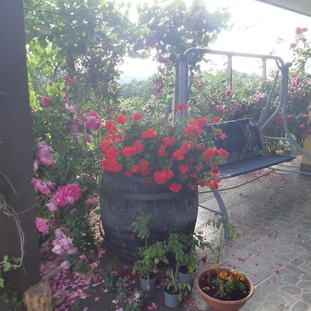 Villa House Of The Red Poppy Mirkovec Exterior foto
